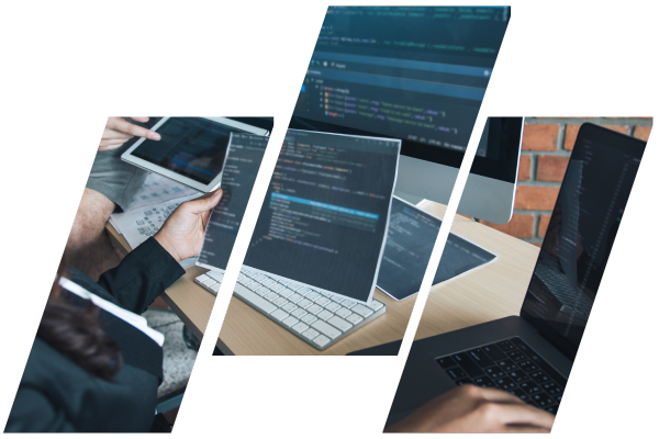 Professional Website with WordPress hero